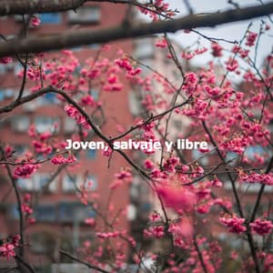Joven, salvaje y libre - Chilled Jazz Party