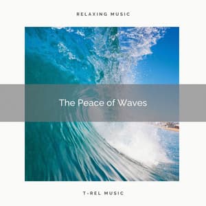 ! ! ! ! ! ! The Peace of Waves - Seashore Waves
