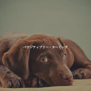 パウジティブリー・カーミング - Alegre Musica para Leer