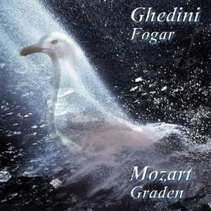 Concerto dell'Albatro  - Requiem - Wolfgang Amadeus Mozart