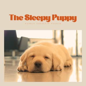 The Sleepy Puppy - Sleep Dog