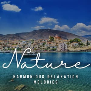 Peaceful Reverie: Harmonious Relaxation Melodies - The Land Seven