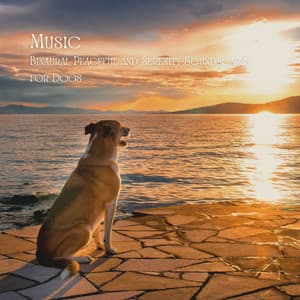 Music: Binaural Peaceful and Serenity Soundscapes for Dogs - Relax My Dog Music