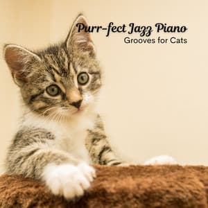 Purr-fect Jazz Piano: Grooves for Cats - The Elevator Music Jazz Trio