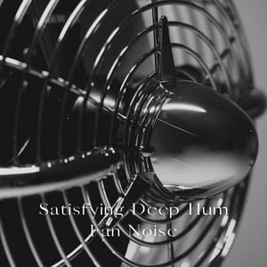 Satisfying Deep Hum Fan Noise - Sleepy Times