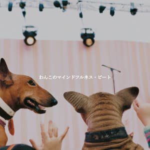 わんこのマインドフルネス・ビート - Soft Jazz & Coffee