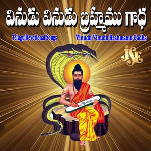 Vinudu Vinudu Brahmamu Gadha - Mallesh