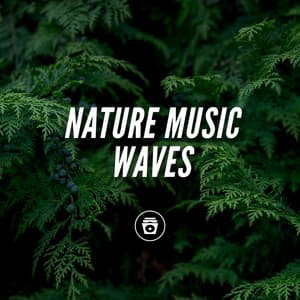 Nature Music Waves - Hypnosis Therapy