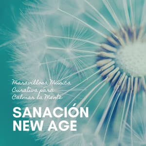 Sanación New Age: Maravillosa Música Curativa para Calmar la Mente - Nueva Era Especialistas