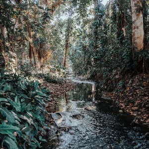 Zen by the Flowing Stream: Relaxing Music Water Serenity - Streams of Dreams