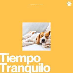 Tiempo Tranquilo - Zona de relajación para perros