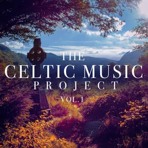 The Celtic Music Project, Vol. 1 - Irish Celtic Music