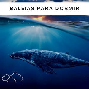 Baleias para Dormir - Medicina Relaxante
