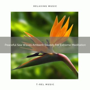 Peaceful Sea Waves Ambient Sounds For Extreme Meditation - Timeless Relax