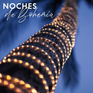 Noches de Bohemia - Paraíso Jazz Verano