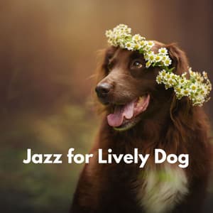 Jazz for Lively Dog - Lounge Music for Restaurants