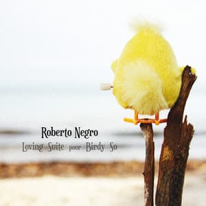 Loving Suite pour Birdy So - Roberto Negro