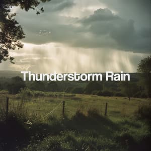 Thunderstorm Rain - Thunderstorm Sound Bank