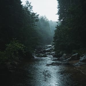 Asseyez-vous calmement Sleep Sough - Android de bruit blanc