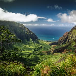 Flujo Armónico: Melodías Para Momentos Serenos - Puros ritmos binaurales