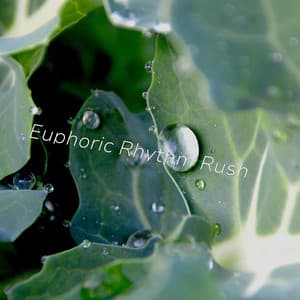 Euphoric Rhythm Rush - Cosmic Thought