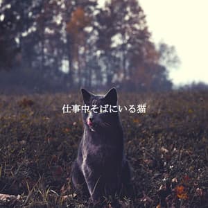 仕事中そばにいる猫 - Jazz Classique