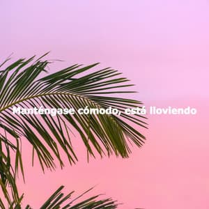 Manténgase cómodo, está lloviendo - Trabajar desde Casa Background Musica