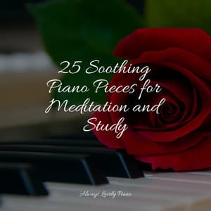 25 Soothing Piano Pieces for Meditation and Study - Relaxar Piano Musicas Coleção
