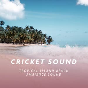 Tropical Island Beach Ambience Sound - Cricket Sound