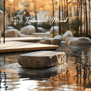 Tranquil Mind - Meditation Music