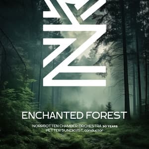 Enchanted Forest - Norrbotten Chamber Orchestra