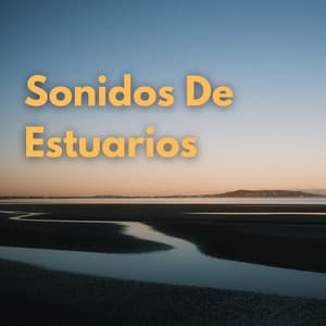 Sonidos De Estuarios - Laboratorio de la Naturaleza