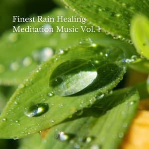 Finest Rain Healing Meditation Music Vol. 1 - Transcendental Meditation