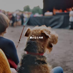 静かなる肉球 - Hotel Lounge Deluxe