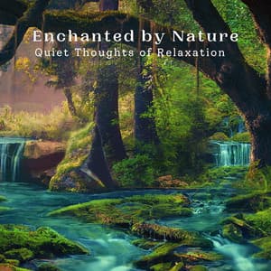 Enchanted by Nature: Quiet Thoughts of Relaxation - Water sound bank
