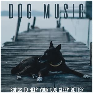 Dog Music: Songs to Help Your Dog Sleep Better - Relaxmydog