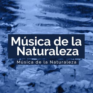 Calm Rain Bliss - Música de la Naturaleza