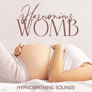 Harmonious Womb - Soothing Music Collection