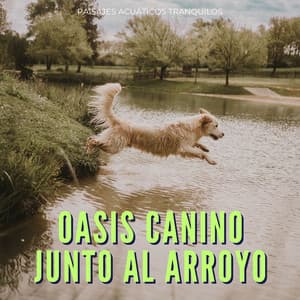 Oasis Canino Junto Al Arroyo: Paisajes Acuáticos Tranquilos - Aguas del diluvio