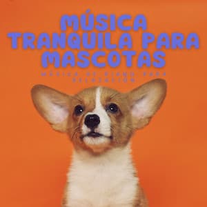 Música Tranquila Para Mascotas: Música De Piano Para Relajación - Cubiertas antipolvo para piano