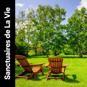 Sanctuaires de La Vie - Oasis de Musique Nature Relaxante