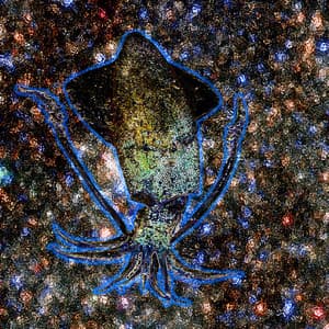 Slippy Sim-Sim Scadalintoumous, The Very Special Squid - kaos muzikë