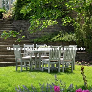 Una planta nueva en el dormitorio - Jazz Ambiente