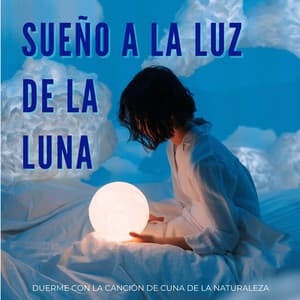 Sueño A La Luz De La Luna: Duerme Con La Canción De Cuna De La Naturaleza - La Naturaleza Del Sueño