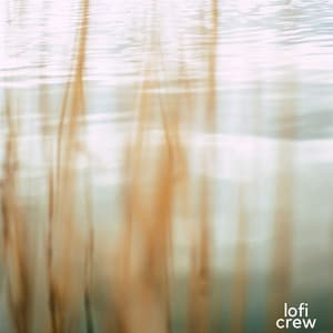 Soft Warm Lofi Flow - Lofi Chiller