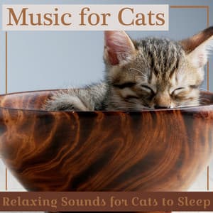 Music for Cats - Relaxing Sounds for Cats - RelaxMyCat