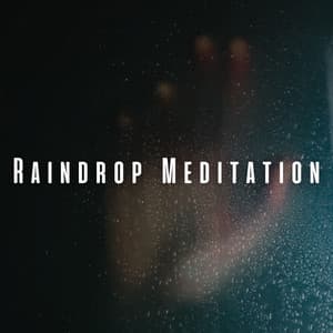 Raindrop Meditation: Relaxing Sounds for Centering the Mind - Sleep Sounds Rainfall