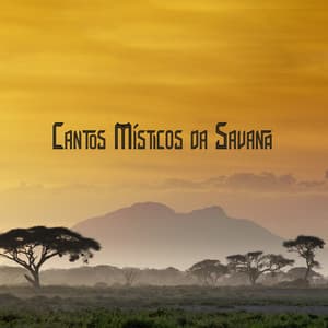 Cantos Místicos da Savana: Música Nativa Africana, Tambores do Sol, Orações Xamânicas, Jornada Espiritual - Academia de Música de Fundo e Ambiente