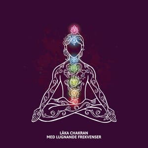 Läka chakran med lugnande frekvenser: Balansera din energi, Lugnande och sakrala omgivningar - Meditationsmusik zen institute
