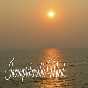 Incomprehensible Minds - Sleeping Music